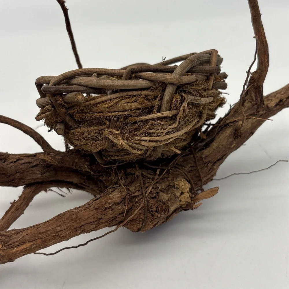 Bird nest  Garden decorations, home, floral accent, crafts, center piece